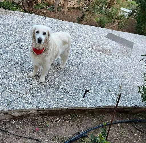 In Drios, Paros Island, Greece. * Дриос